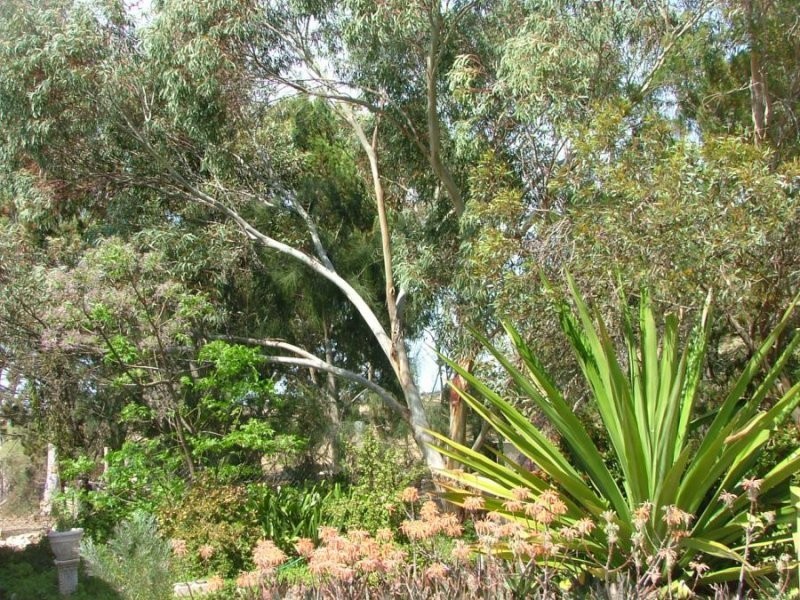 145 Altman, Monarto South SA 5254