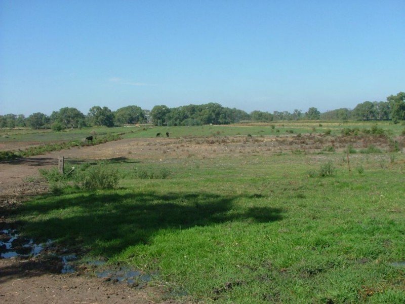 367 Weidenhofer, Ponde SA 5238