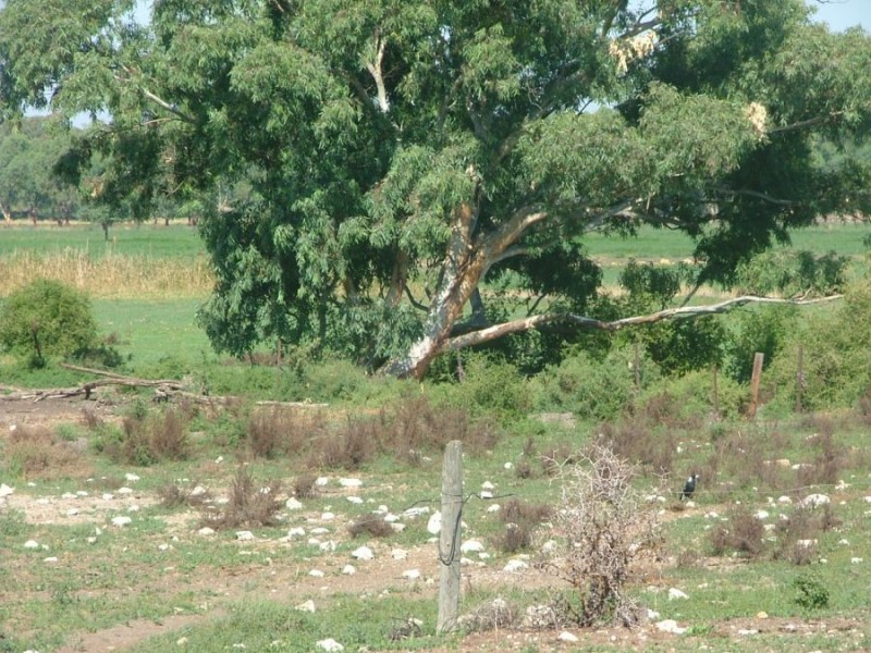 367 Weidenhofer, Ponde SA 5238