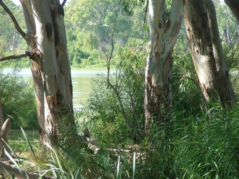 367 Weidenhofer, Ponde SA 5238