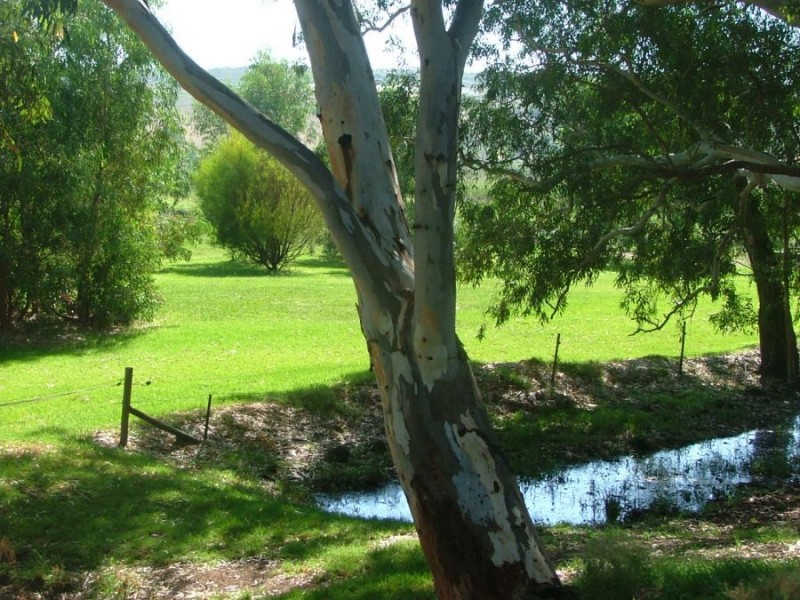 367 Weidenhofer, Ponde SA 5238