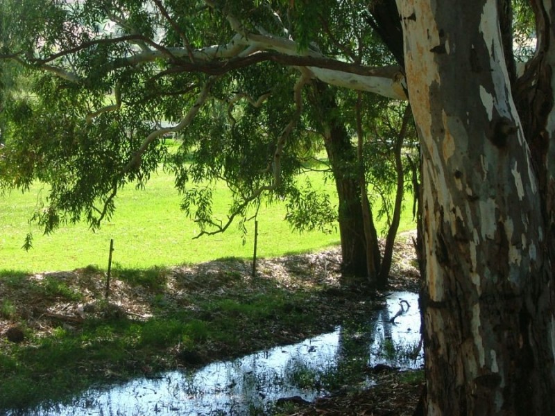 367 Weidenhofer, Ponde SA 5238