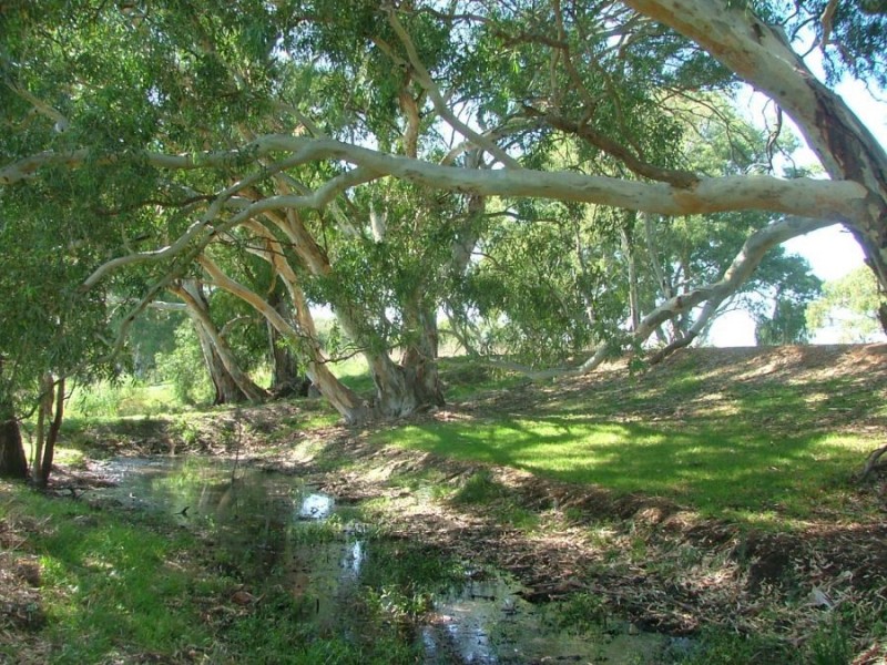 367 Weidenhofer, Ponde SA 5238