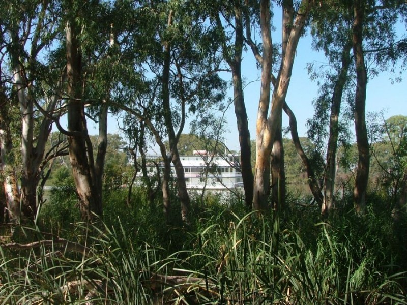 367 Weidenhofer, Ponde SA 5238