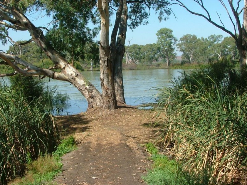 367 Weidenhofer, Ponde SA 5238