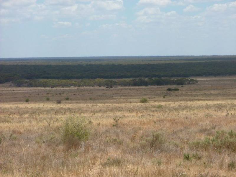 Lot 242 & 247 Quarry, Black Hill SA 5353