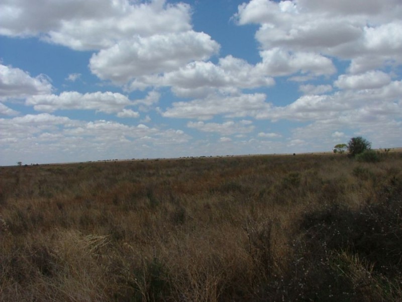 Lot 242 & 247 Quarry, Black Hill SA 5353