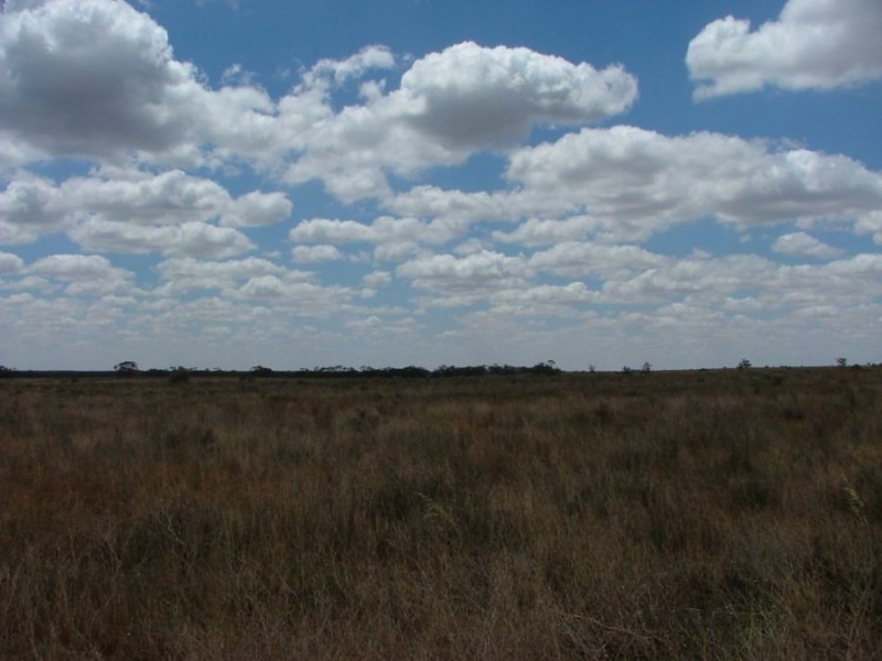 Lot 242 & 247 Quarry, Black Hill SA 5353