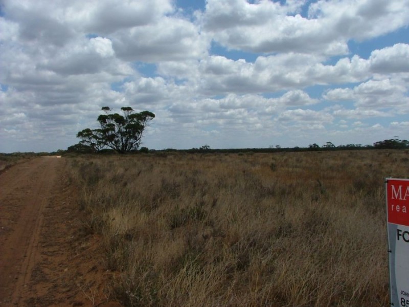 Lot 242 & 247 Quarry, Black Hill SA 5353