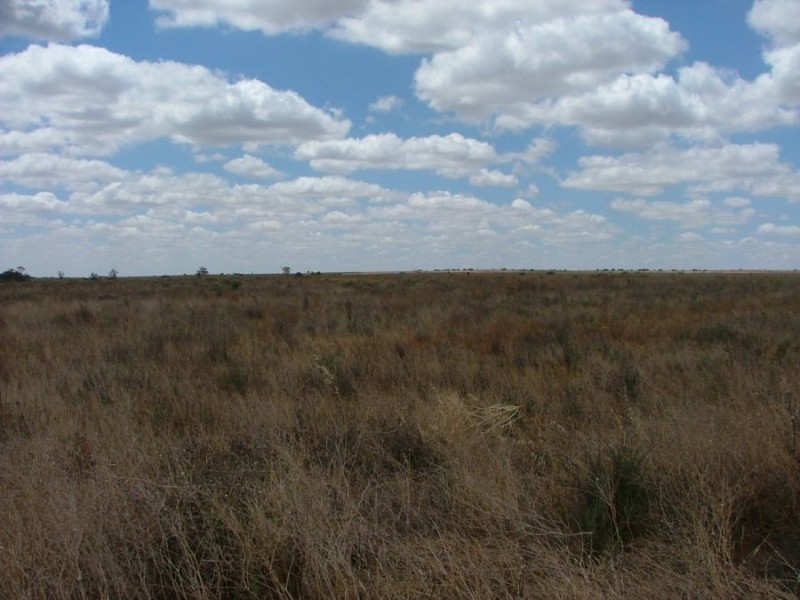 Lot 242 & 247 Quarry, Black Hill SA 5353