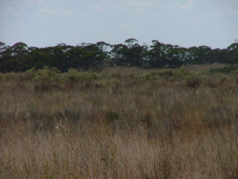 Lot 242 & 247 Quarry, Black Hill SA 5353