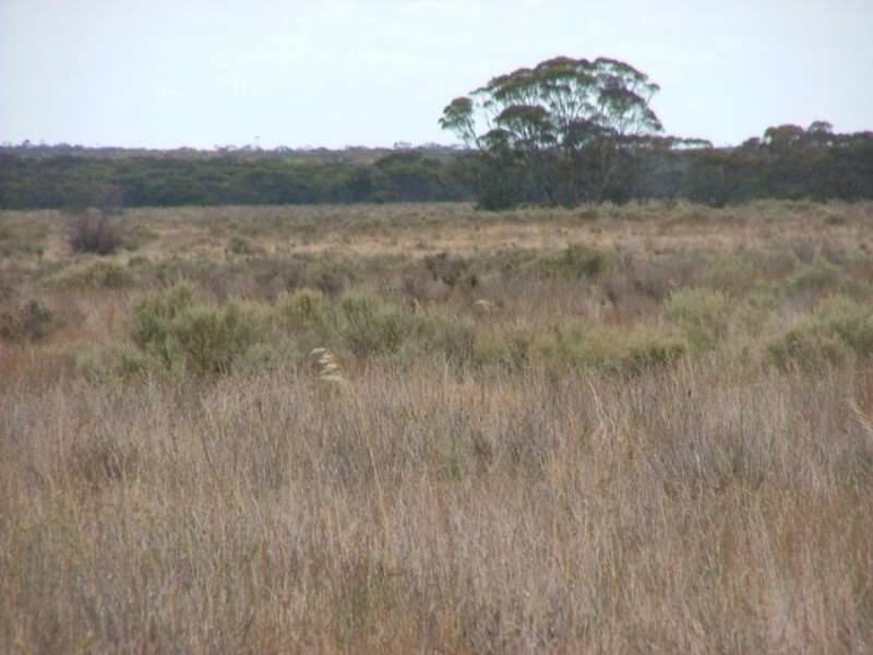 Lot 242 & 247 Quarry, Black Hill SA 5353