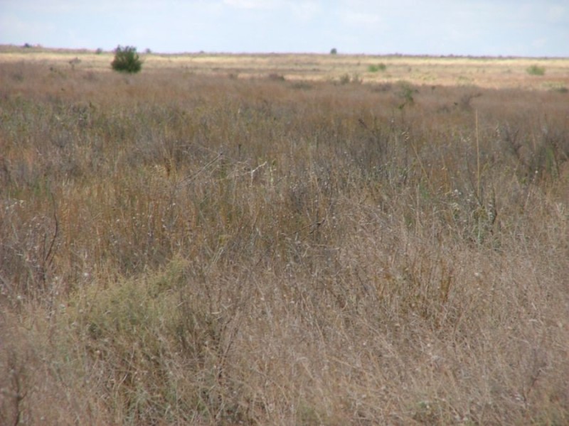 Lot 242 & 247 Quarry, Black Hill SA 5353