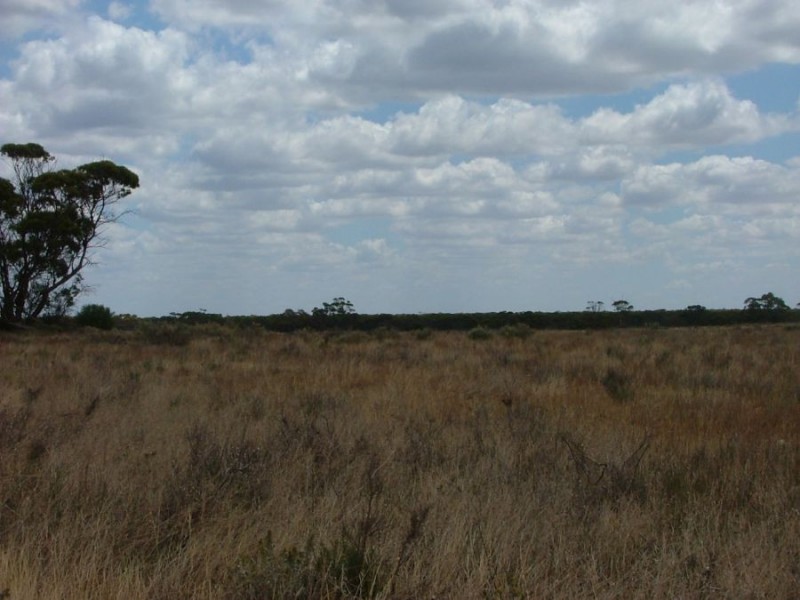 Lot 242 & 247 Quarry, Black Hill SA 5353