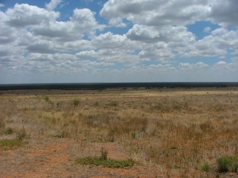 Lot 242 & 247 Quarry, Black Hill SA 5353
