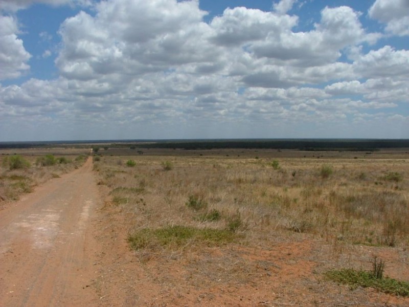 Lot 242 & 247 Quarry, Black Hill SA 5353