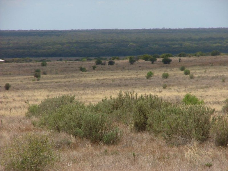 Lot 242 & 247 Quarry, Black Hill SA 5353