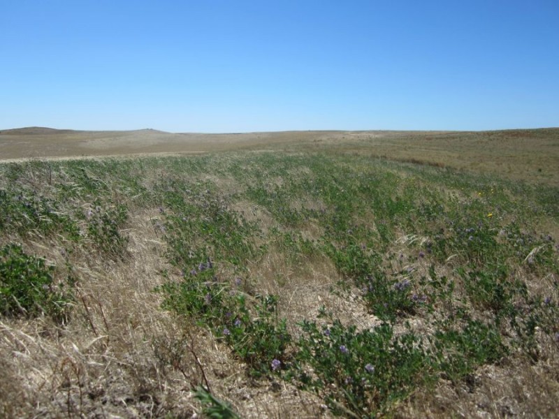 Lot 2 & Lot 4 off Narrung Road, Meningie SA 5264