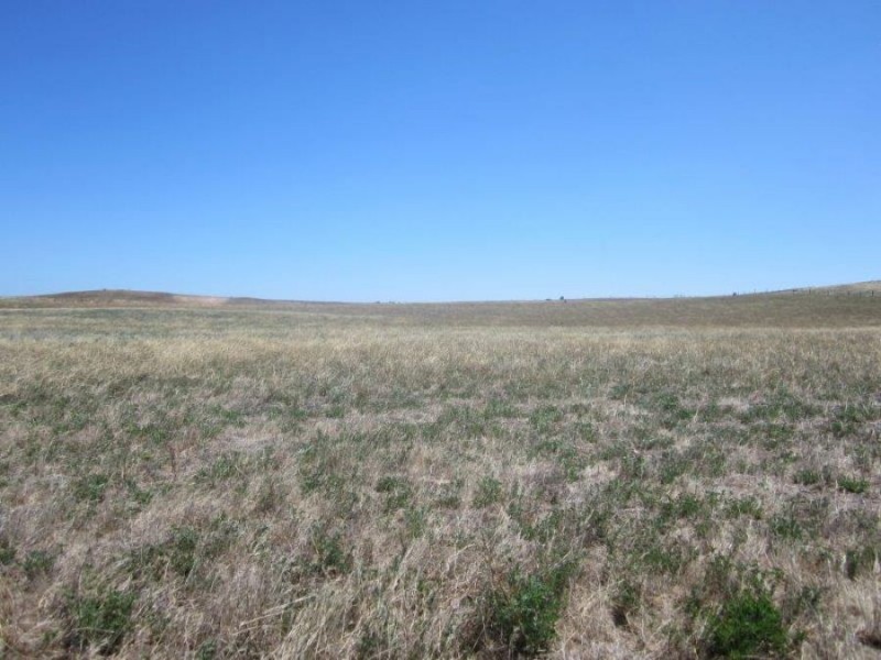 Lot 2 & Lot 4 off Narrung Road, Meningie SA 5264