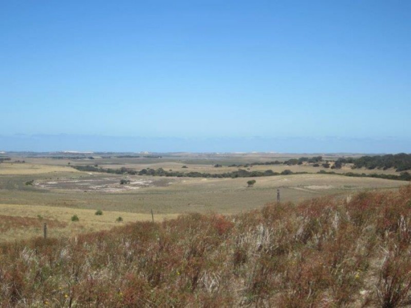 Lot 2 & Lot 4 off Narrung Road, Meningie SA 5264