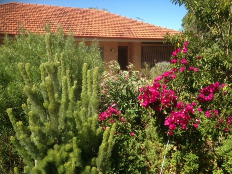 29 Parish Crescent, Murray Bridge SA 5253