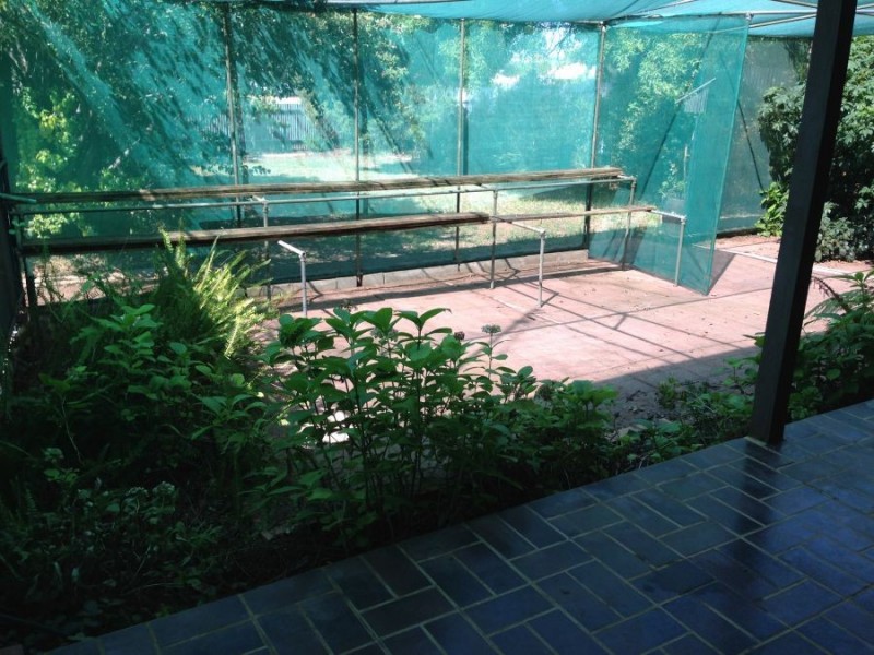 29 Parish Crescent, Murray Bridge SA 5253