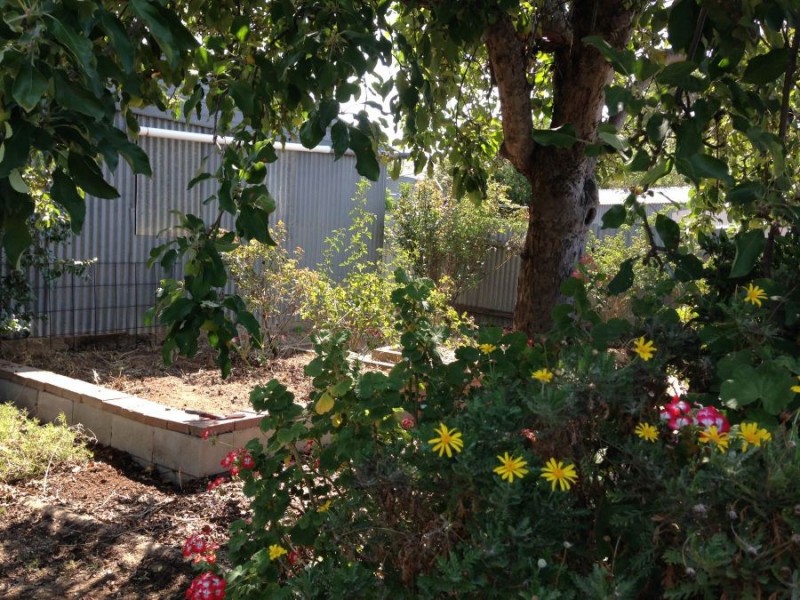 29 Parish Crescent, Murray Bridge SA 5253