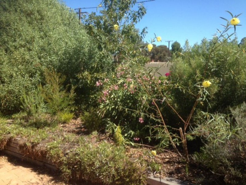 29 Parish Crescent, Murray Bridge SA 5253