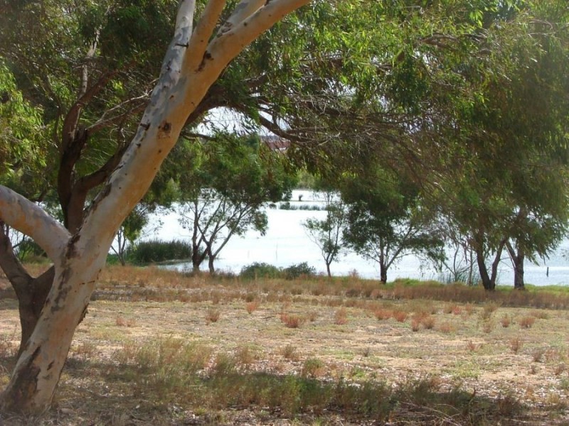 5 Derwent Avenue, Murray Bridge SA 5253