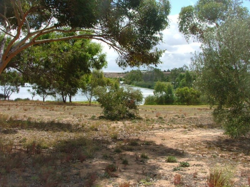 5 Derwent Avenue, Murray Bridge SA 5253