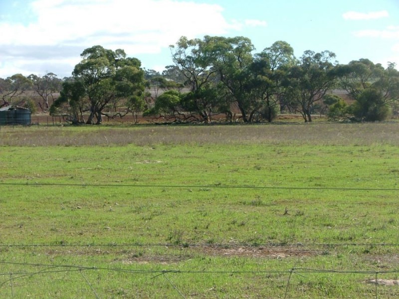 19 Strauss, Monarto South SA 5254