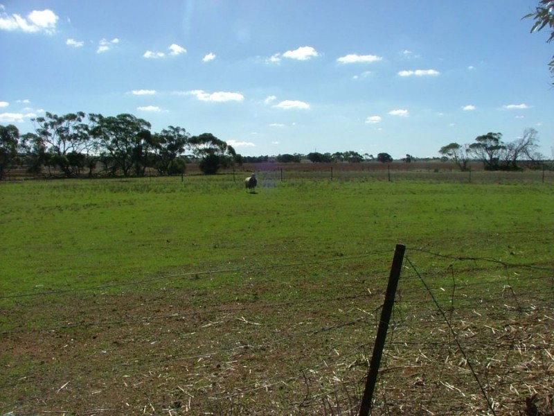 19 Strauss, Monarto South SA 5254