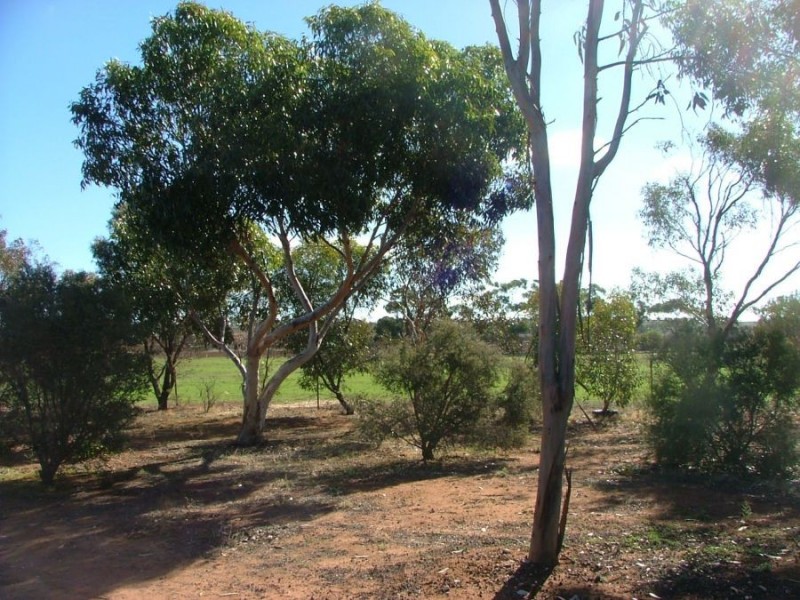 19 Strauss, Monarto South SA 5254