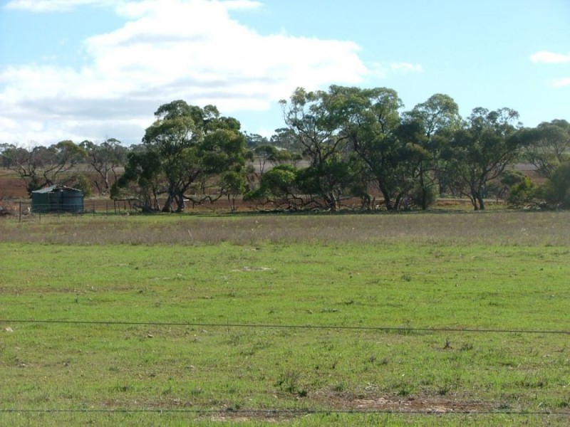 19 Strauss, Monarto South SA 5254