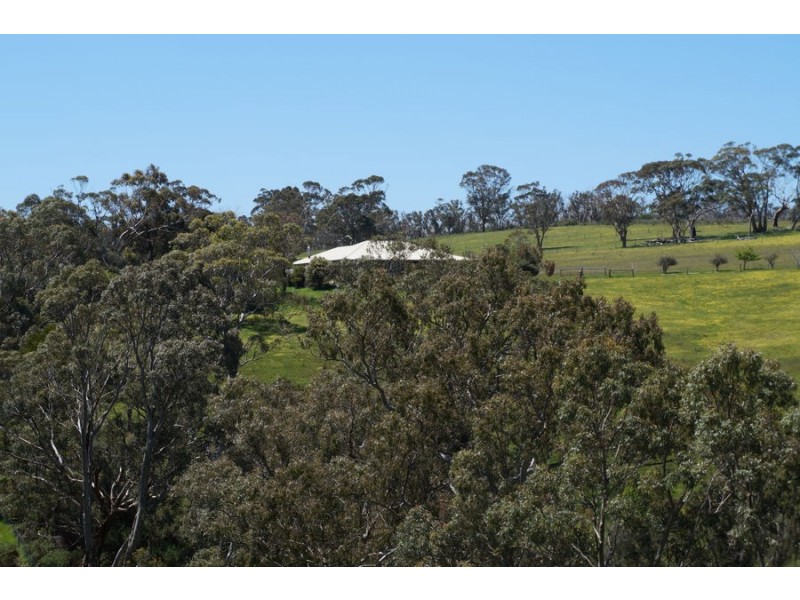 193 Paris Creek Road, Meadows SA 5201