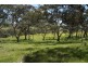 193 Paris Creek Road, Meadows SA 5201