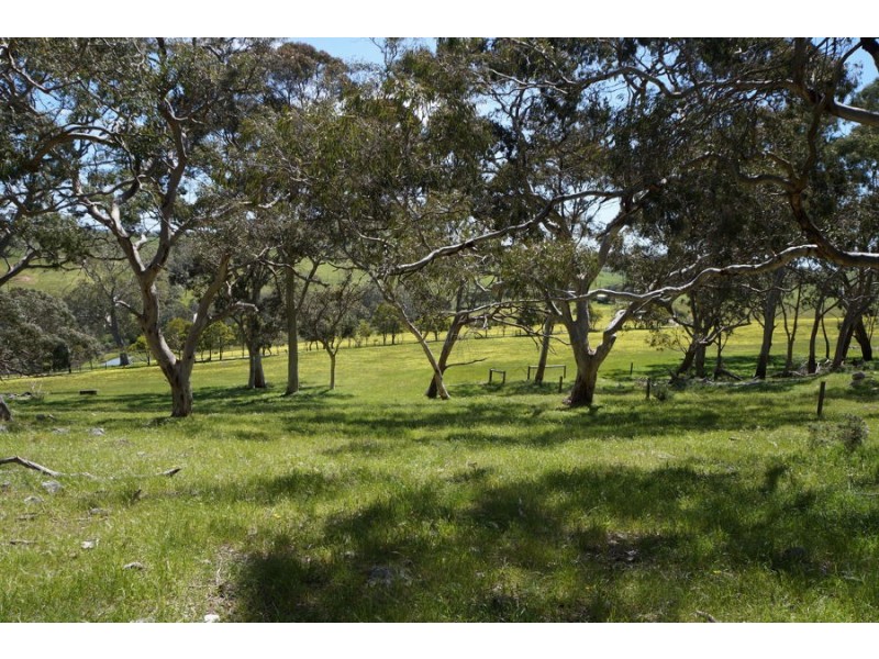 193 Paris Creek Road, Meadows SA 5201