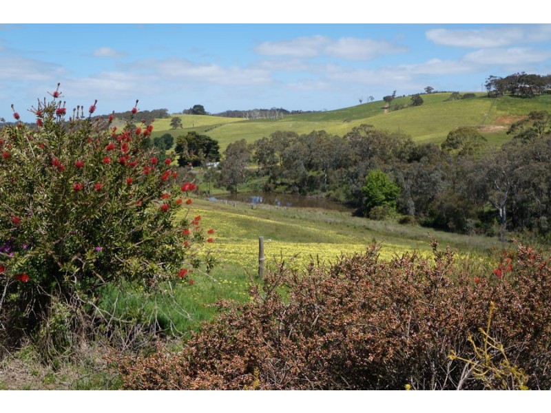 193 Paris Creek Road, Meadows SA 5201