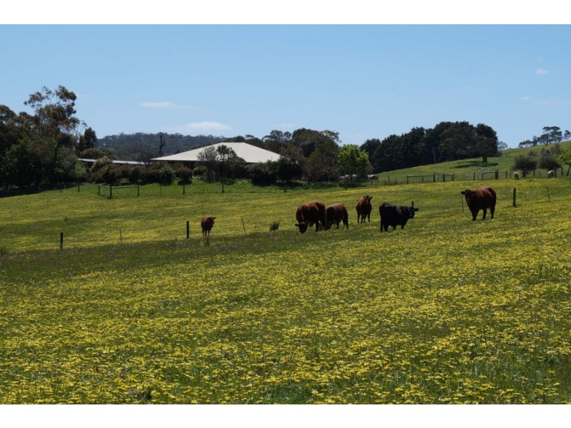 193 Paris Creek Road, Meadows SA 5201