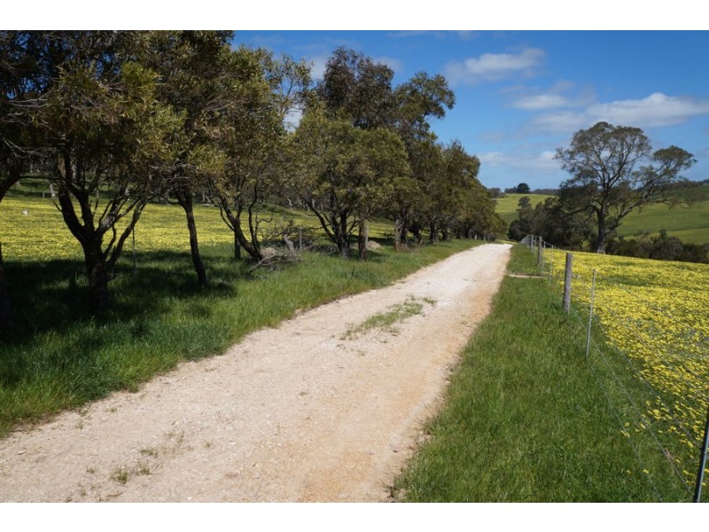 193 Paris Creek Road, Meadows SA 5201