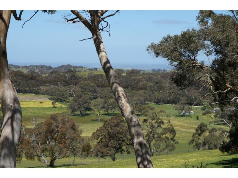 193 Paris Creek Road, Meadows SA 5201