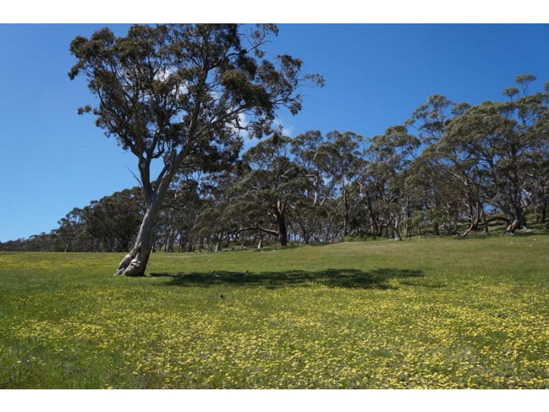 193 Paris Creek Road, Meadows SA 5201