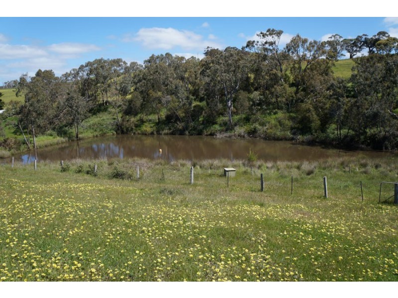 193 Paris Creek Road, Meadows SA 5201