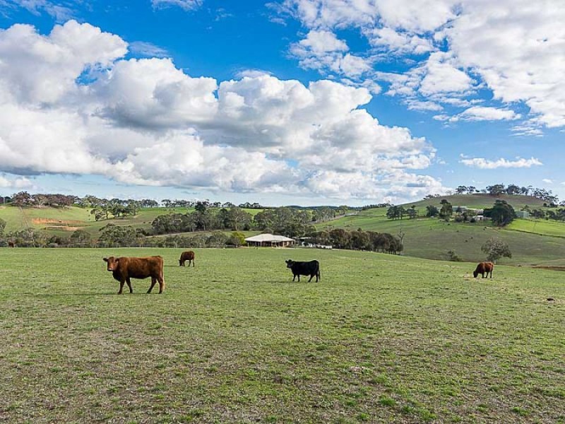 193 Paris Creek Road, Meadows SA 5201