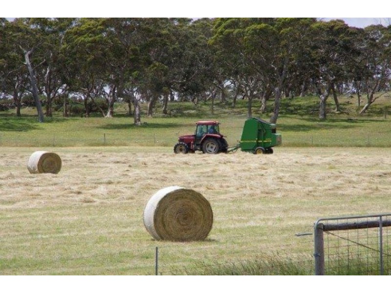 193 Paris Creek Road, Meadows SA 5201