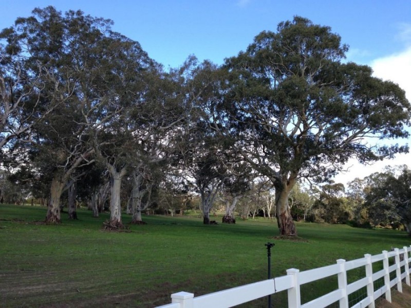 Lot 6 – off Bull Creek Road, Ashbourne SA 5157