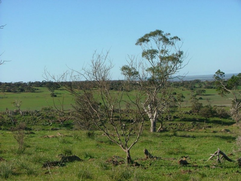 Lot 5 & 6 Law, Rockleigh SA 5254