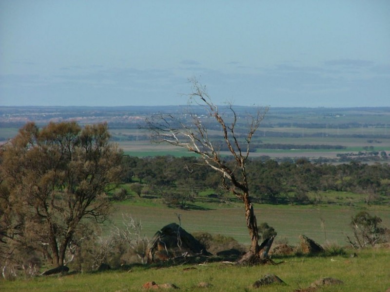 Lot 5 & 6 Law, Rockleigh SA 5254