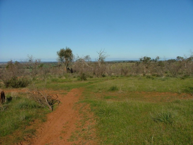 Lot 5 & 6 Law, Rockleigh SA 5254