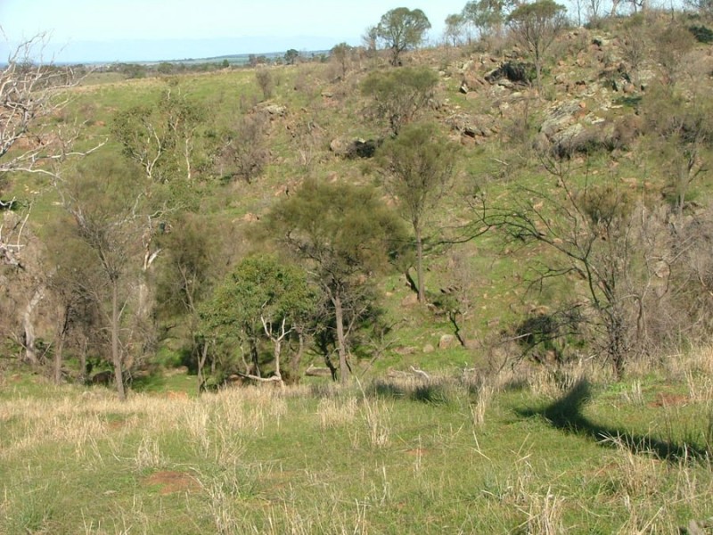 Lot 5 & 6 Law, Rockleigh SA 5254